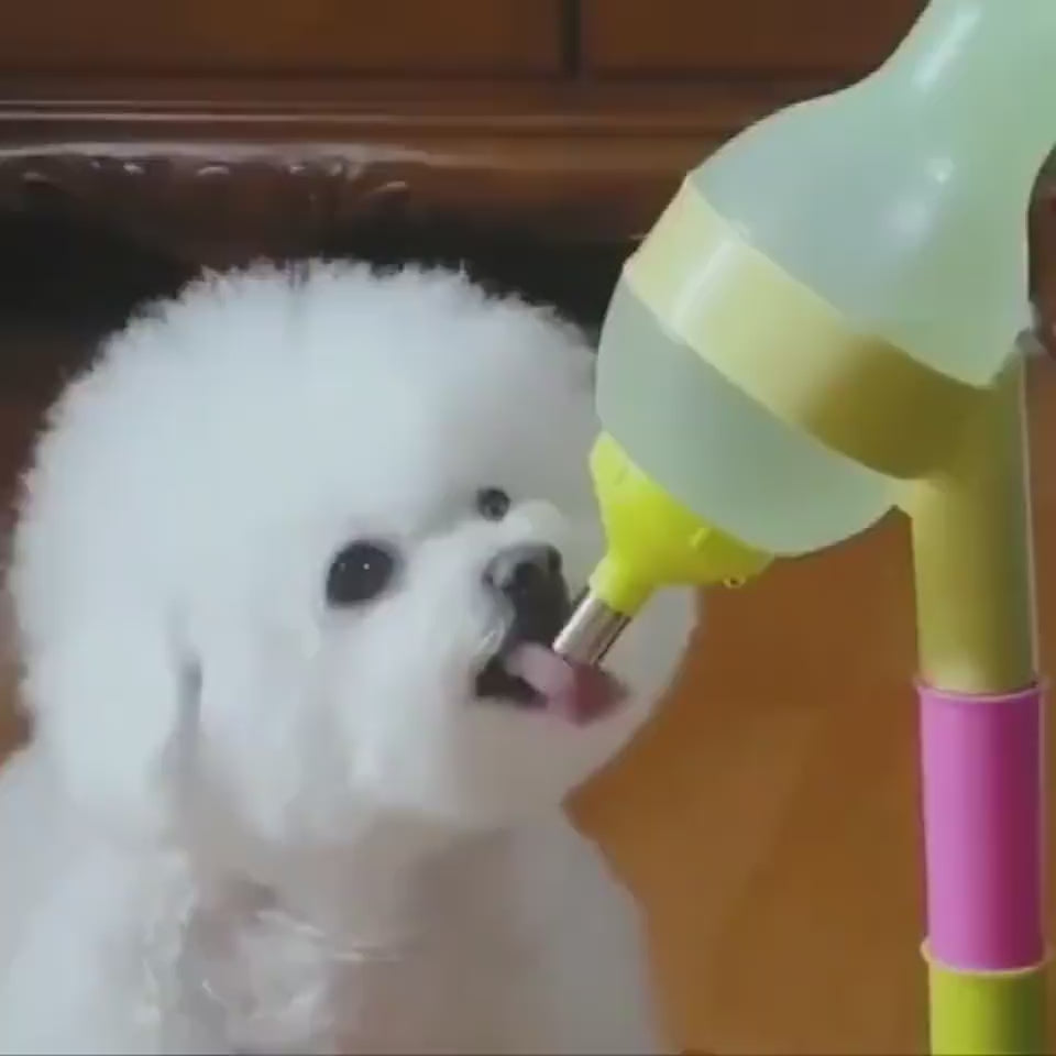 Automatic Pet Water Dispenser Stand Feeder Bowl Ad
