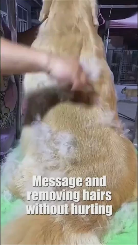 1.mp4